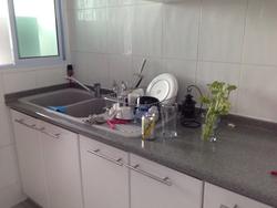 Freesia Woods (D21), Condominium #139004972